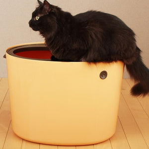 Cat Sandbox Kitten Litter Box Indoor Semi-Closed Tray Toilet Bedding Training Detachable Bedpan For Small Medium Pet Accessories