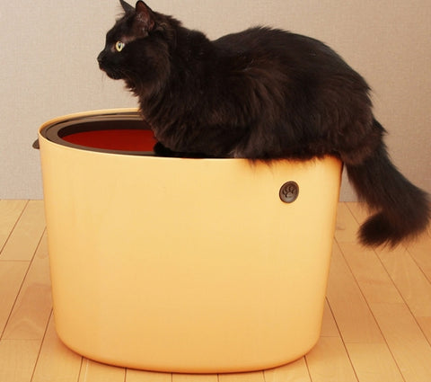 Cat Sandbox Kitten Litter Box Indoor Semi-Closed Tray Toilet Bedding Training Detachable Bedpan For Small Medium Pet Accessories